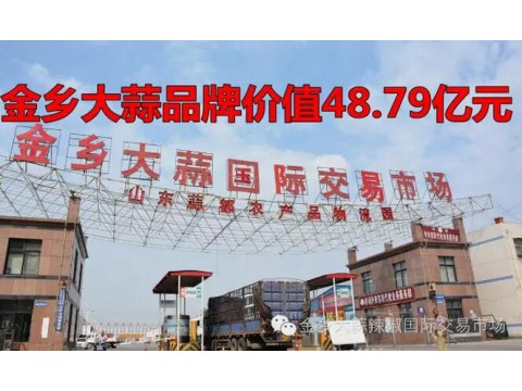 金乡大蒜品牌价值48.79亿元