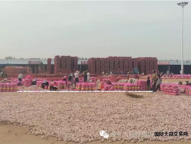 QQ截图20160523092234