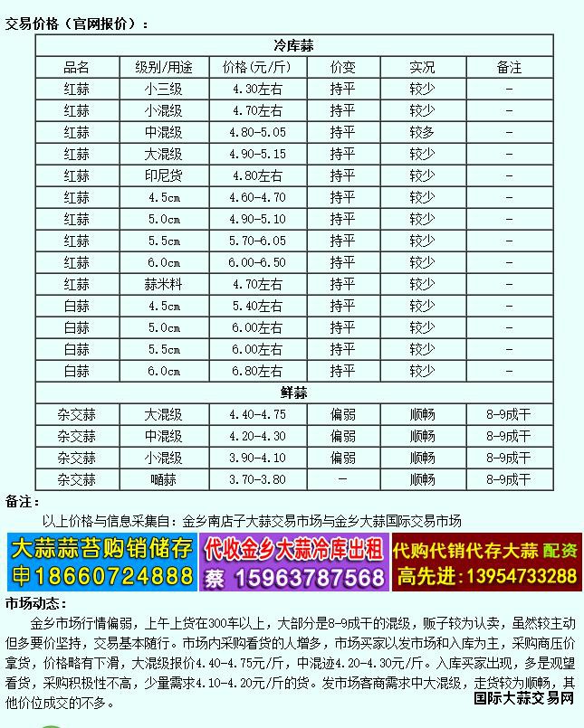 6月6日金乡大蒜价格行情