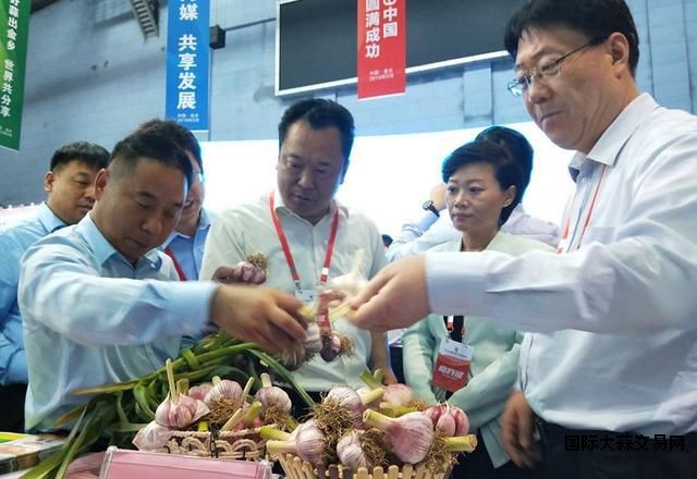 博览会现场图片2