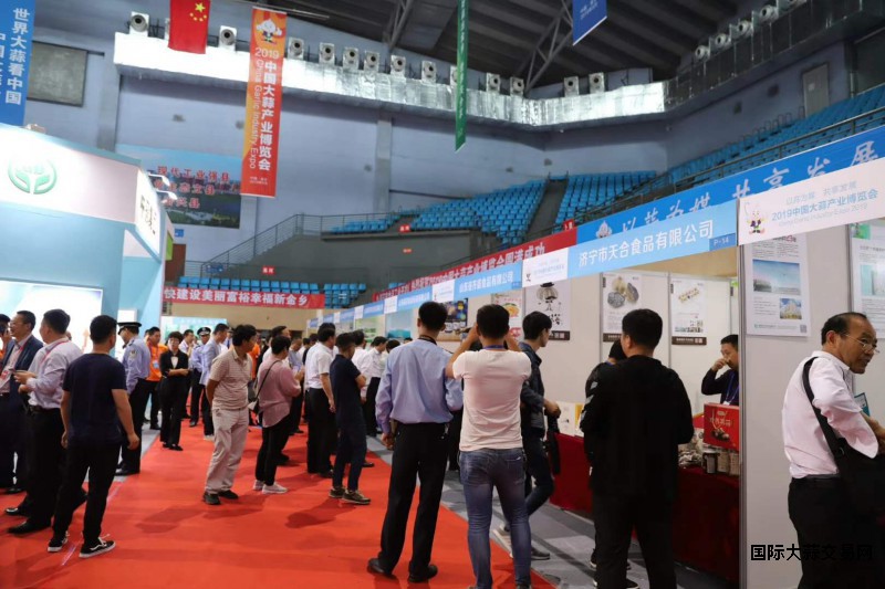 博览会现场图片3