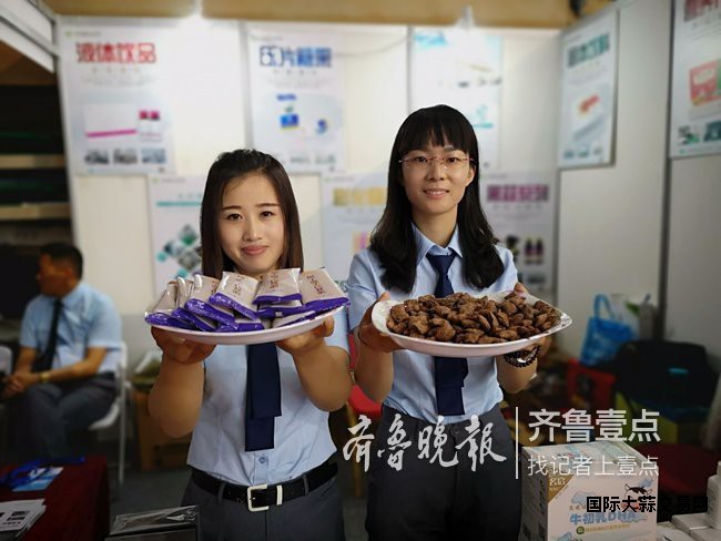 博览会现场图片6