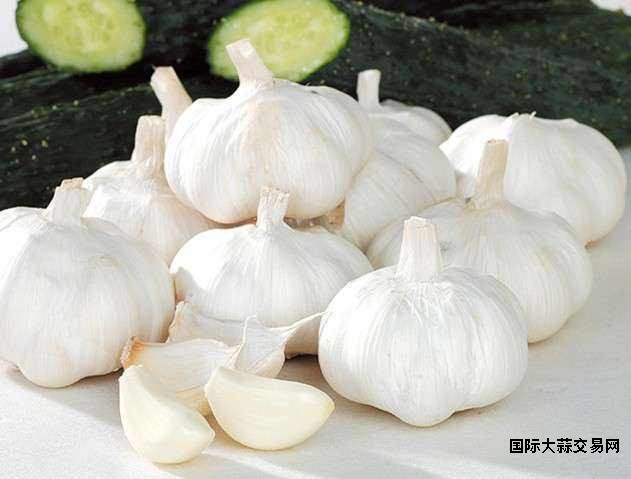 大蒜